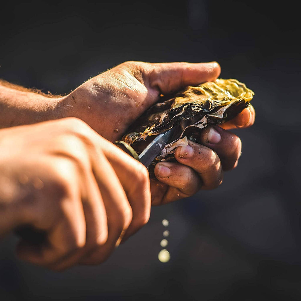 A pair of hands using the knife to open an oyster.