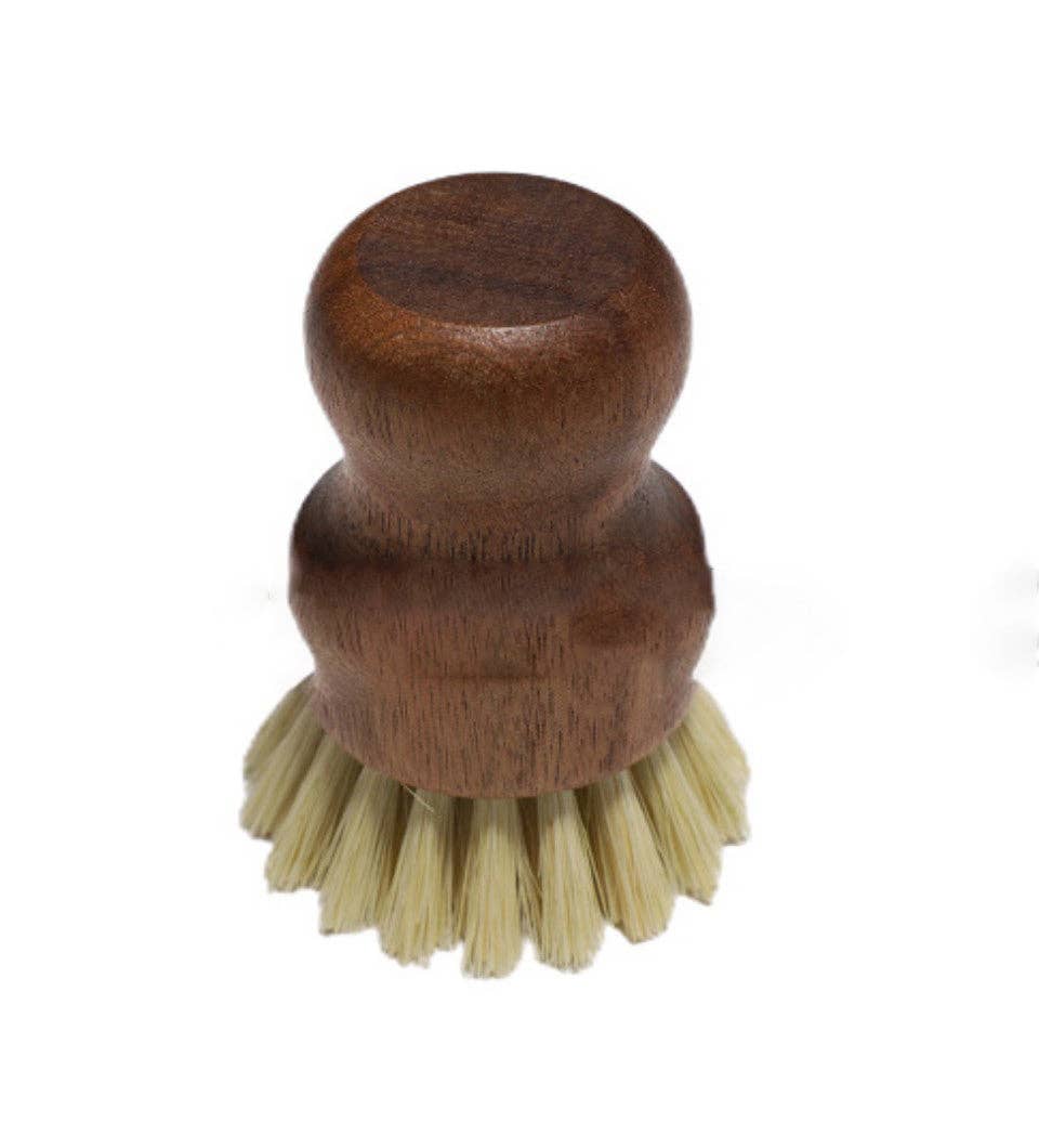 A small dark wooden dishwashing brush with light bristles.