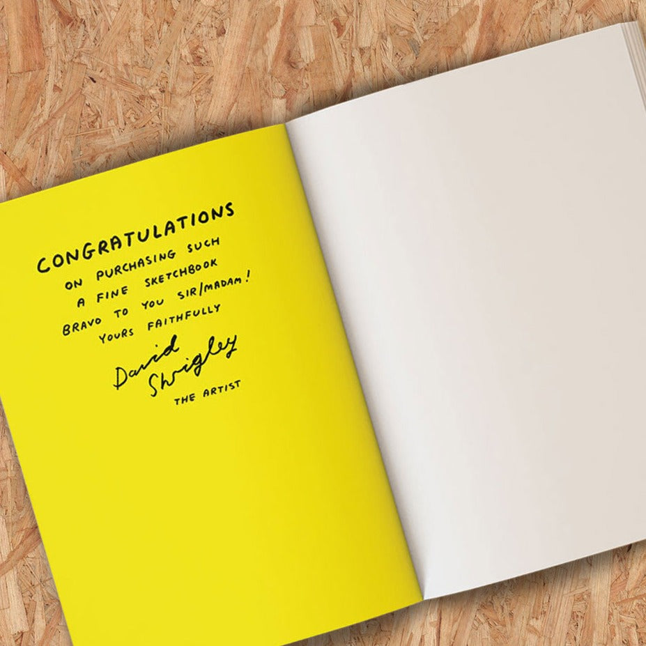 David Shrigley Be An Artist Sketchbook