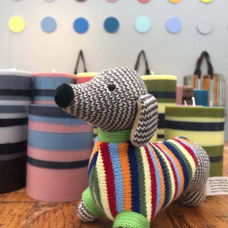 A Dachshund rattle sitting in a playroom.