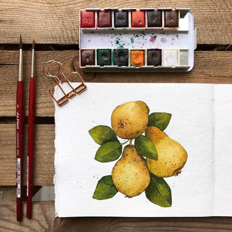 Odyssey Watercolor Confections