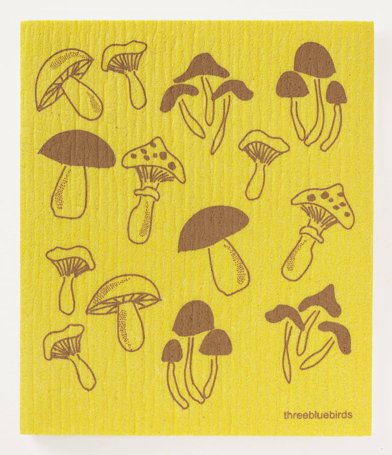 Fungi on Yellow Swedish Dishcloth