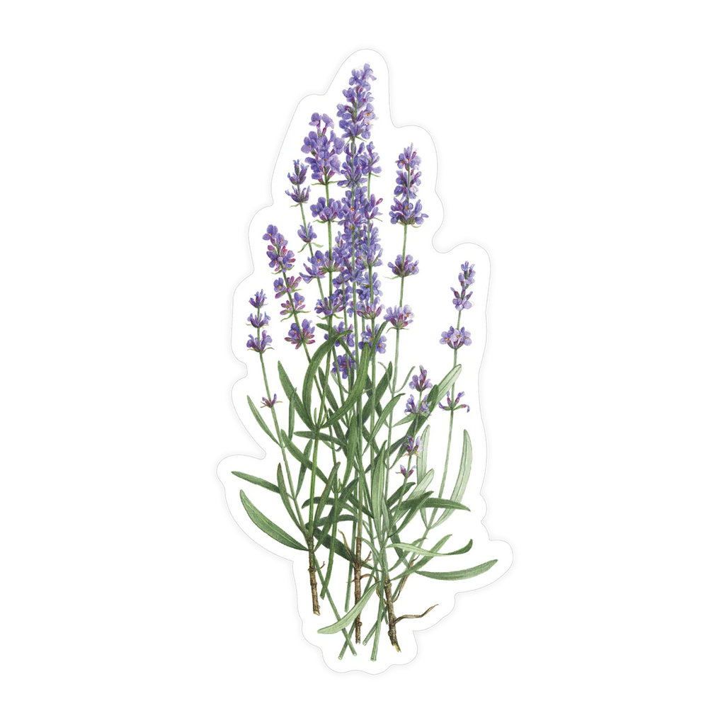 Lavender Bunch Sticker